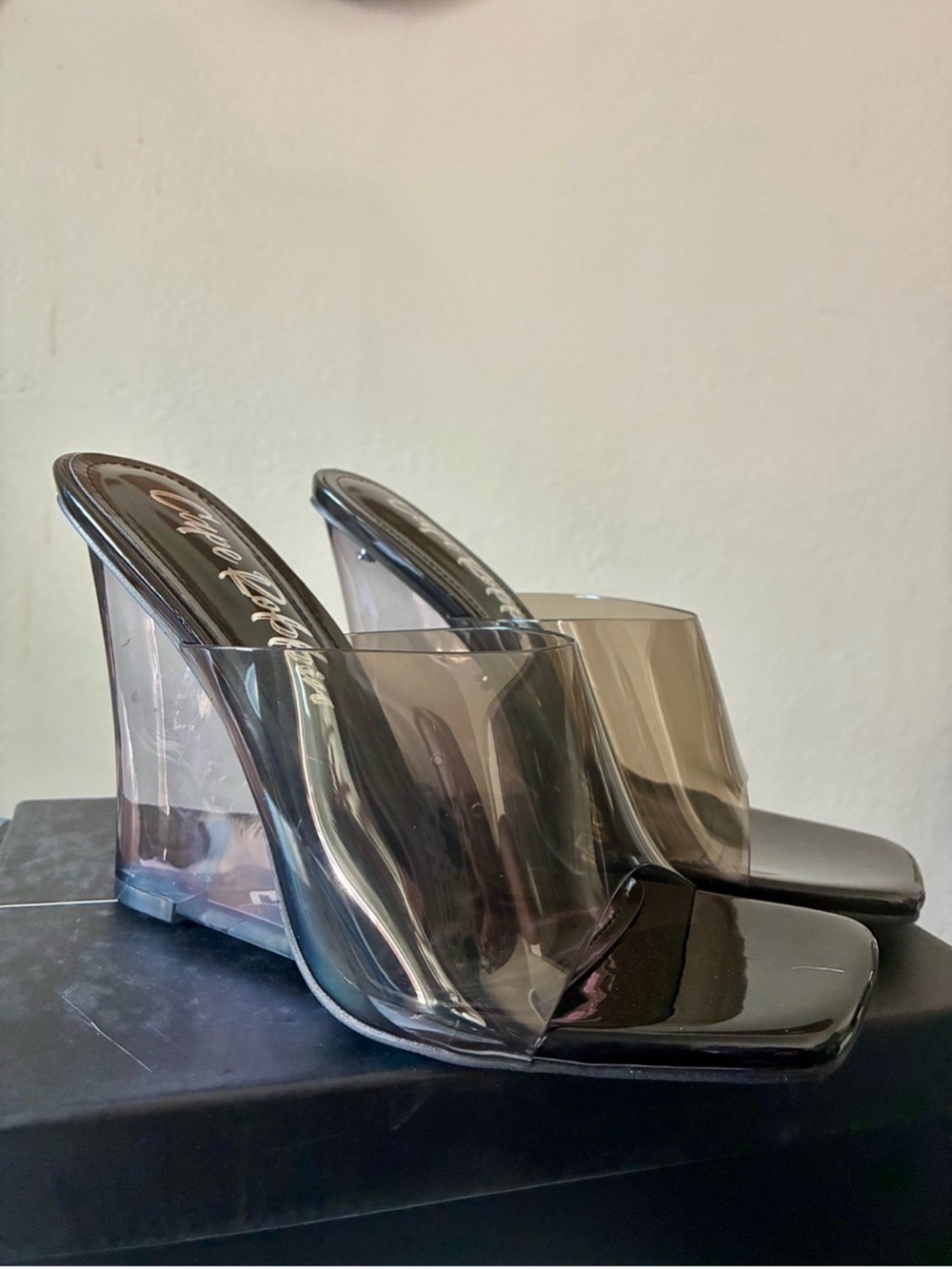 Clear Strap Black Wedge Heels